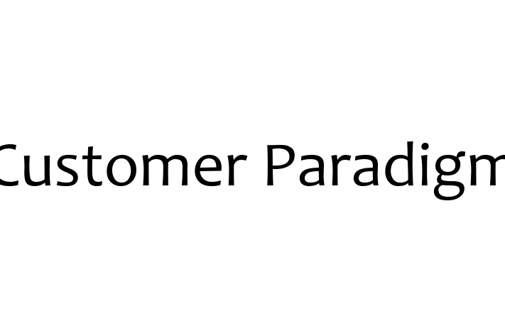 Software Engineering Company Customer Paradigm