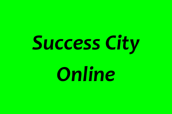 Tech Firm Success City Online