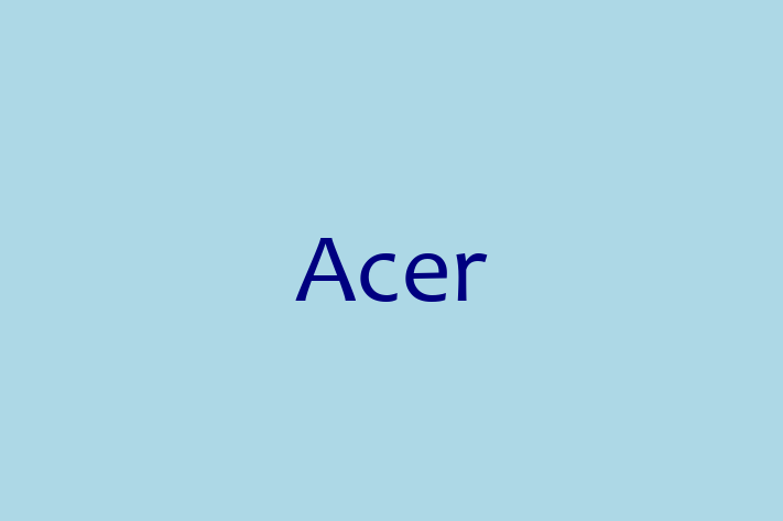 Software Solutions Provider Acer