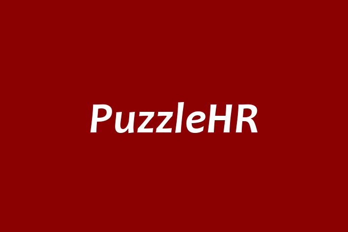 Labor Relations PuzzleHR