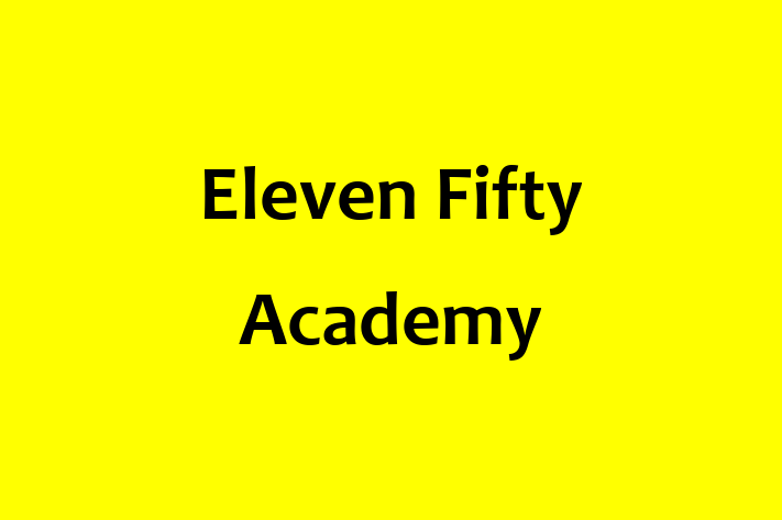 Tech Solutions Company Eleven Fifty Academy