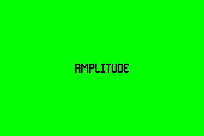 Technology Solutions Firm Amplitude