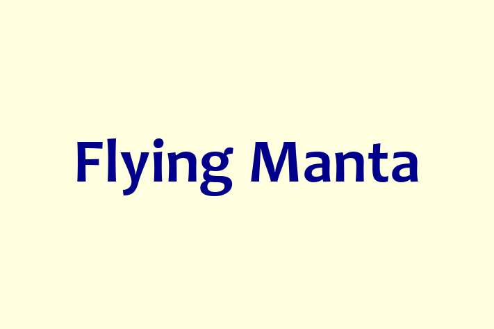 Software House Flying Manta