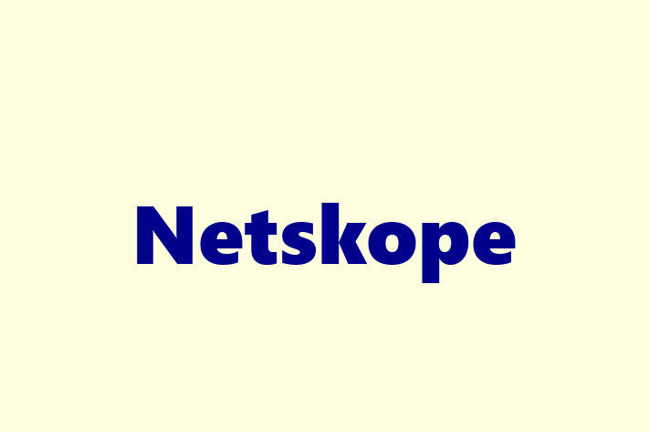 Software Engineering Company Netskope