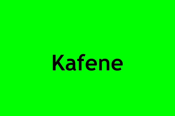 Workforce Management Kafene