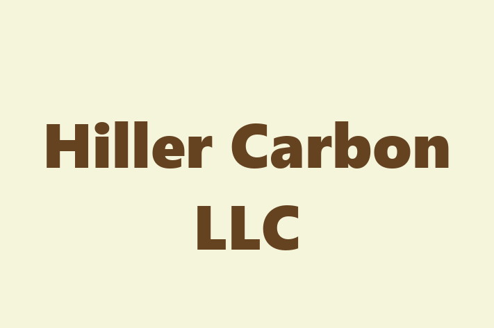 Labor Relations Hiller Carbon LLC