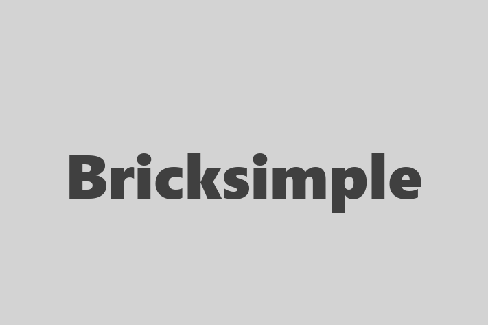 Tech Firm Bricksimple