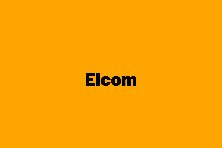 Software Engineering Company Elcom