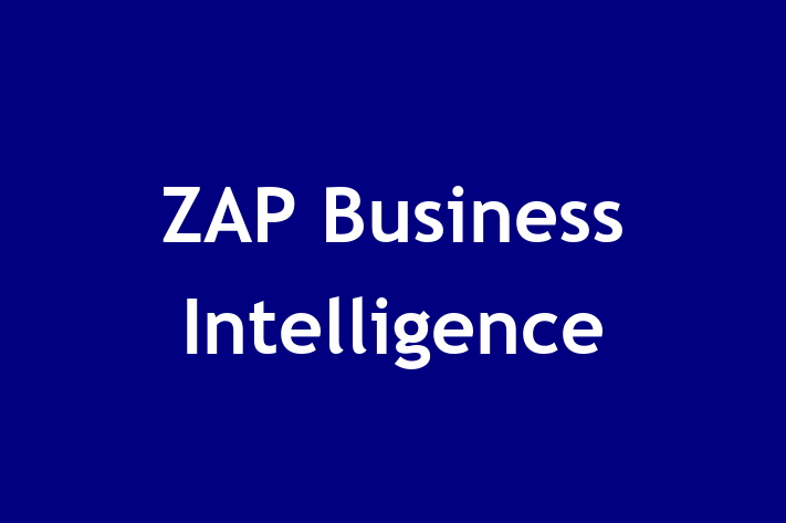 Technology Solutions Firm ZAP Business Intelligence