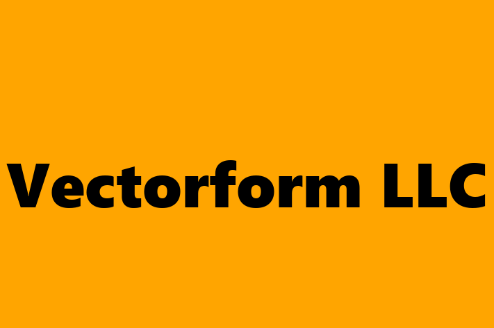 Software Solutions Provider Vectorform LLC