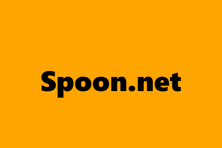 Software Consultancy Spoon.net