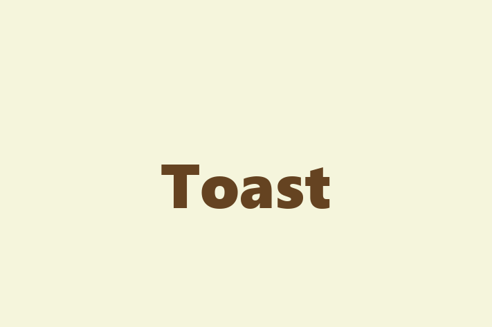 Personnel Management Toast