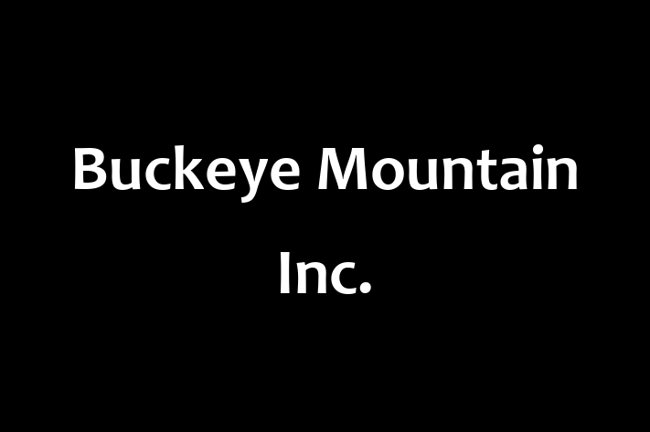 Human Capital Management Buckeye Mountain Inc.