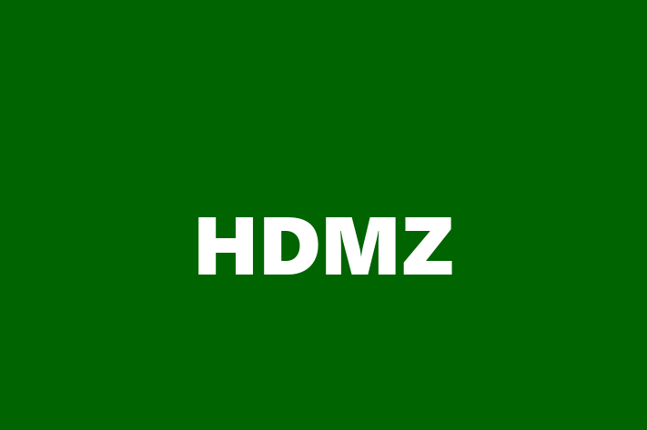 Software Consultancy HDMZ