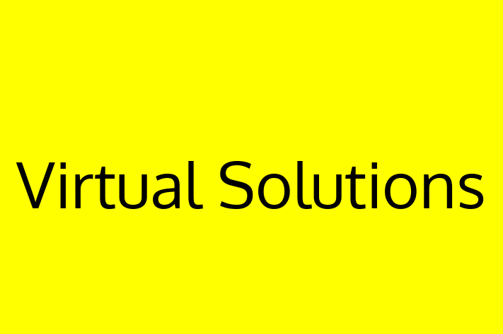 Software Firm Virtual Solutions