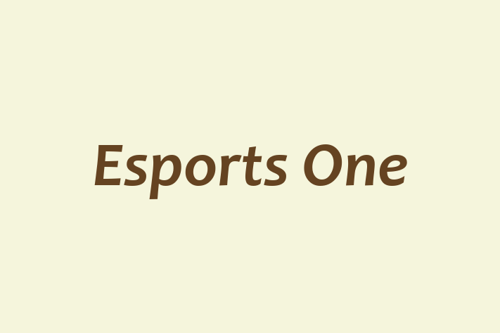 IT Company Esports One