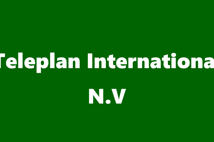 Software Consultancy Teleplan International N.V