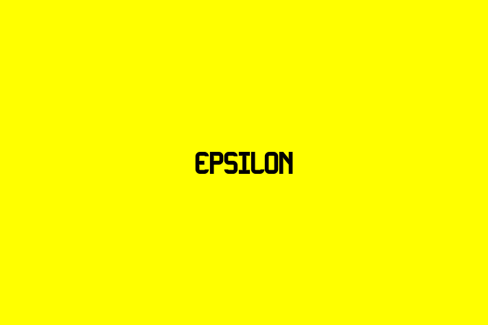 Tech Solutions Company Epsilon