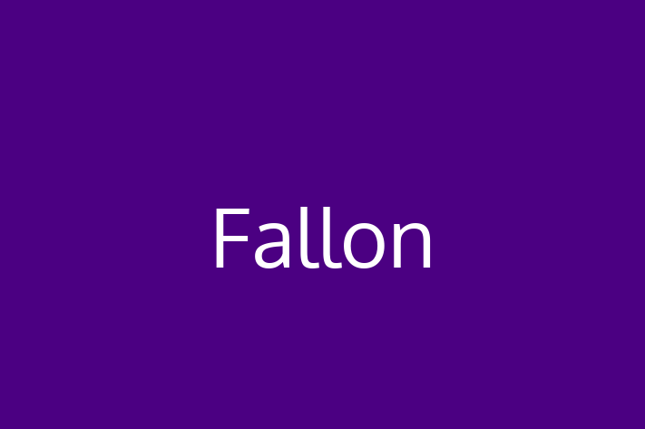 Software Consultancy Fallon