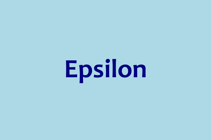 Software Engineering Company Epsilon