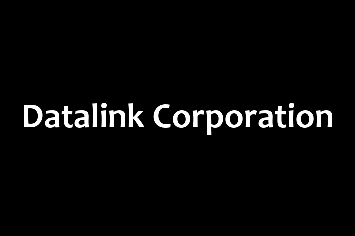 Software Services Company Datalink Corporation