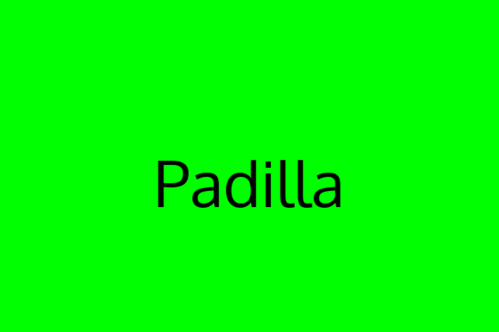 Application Development Company Padilla