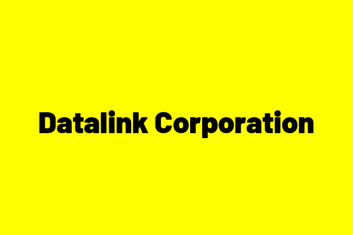 Software Engineering Company Datalink Corporation