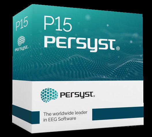 Technology Solutions Firm Persyst Development Corporation