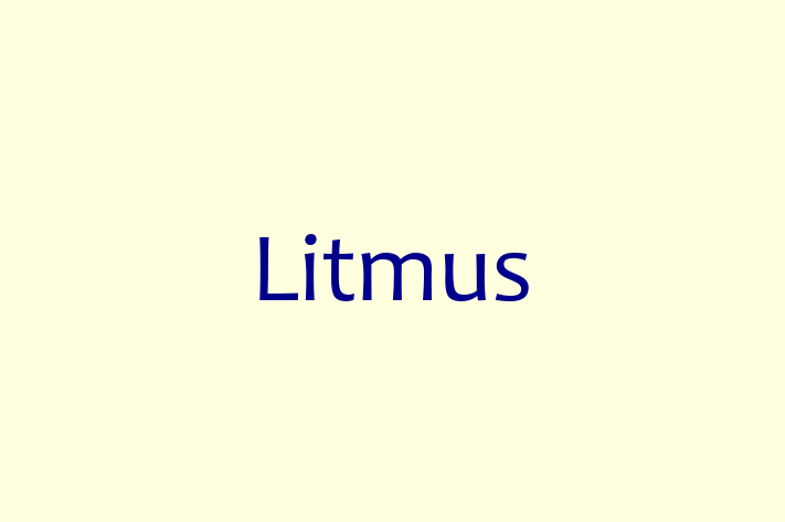 IT Company Litmus