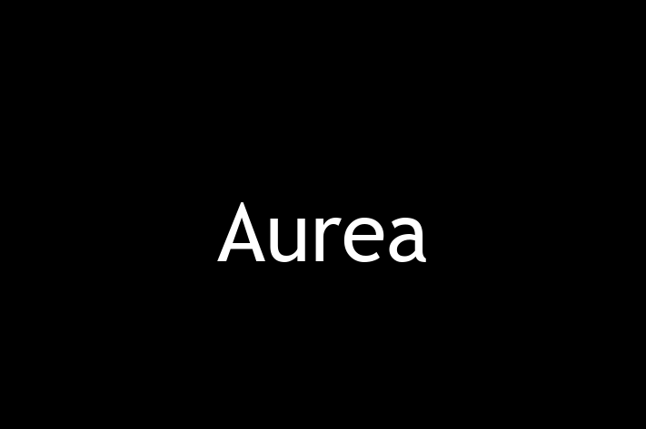 Technology Solutions Firm Aurea