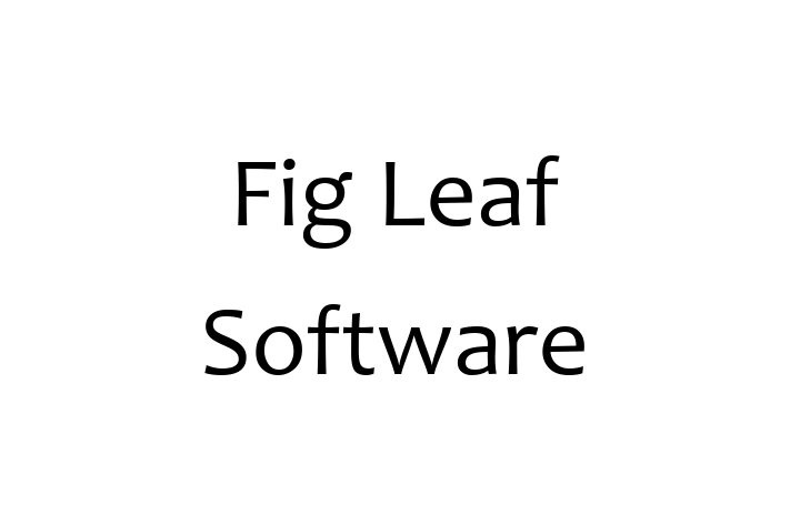 Digital Solutions Provider Fig Leaf Software