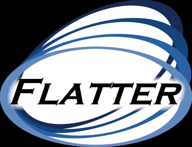 Technology Solutions Firm Flatter Inc