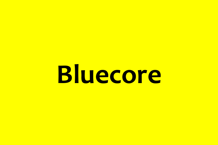 Digital Solutions Provider Bluecore