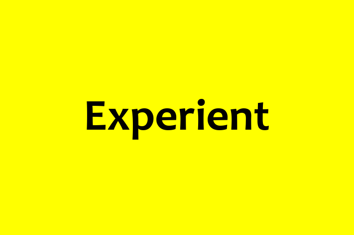 Tech Solutions Company Experient