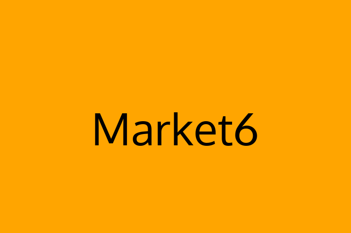 Software Services Company Market6