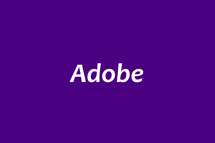 Software Consultancy Adobe