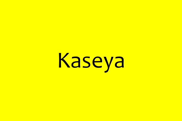 Software Solutions Provider Kaseya