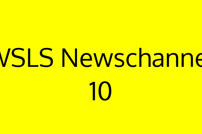 Software Services Company WSLS Newschannel 10