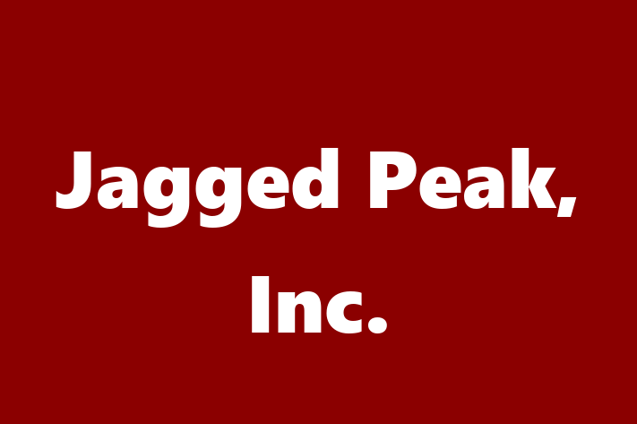 IT Company Jagged Peak Inc.