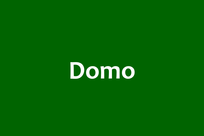 Software Firm Domo