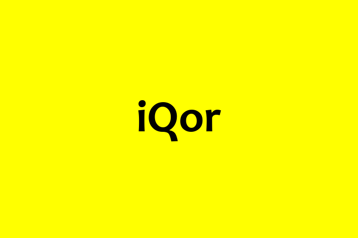 Technology Solutions Firm iQor