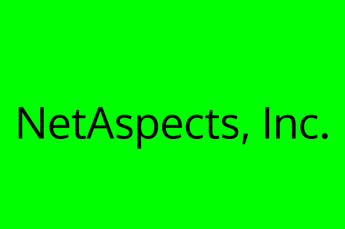 Software Development Company NetAspects Inc.