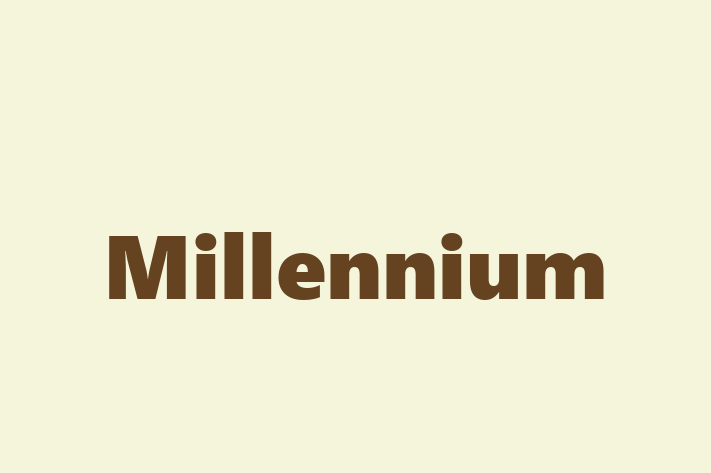 People Management Millennium