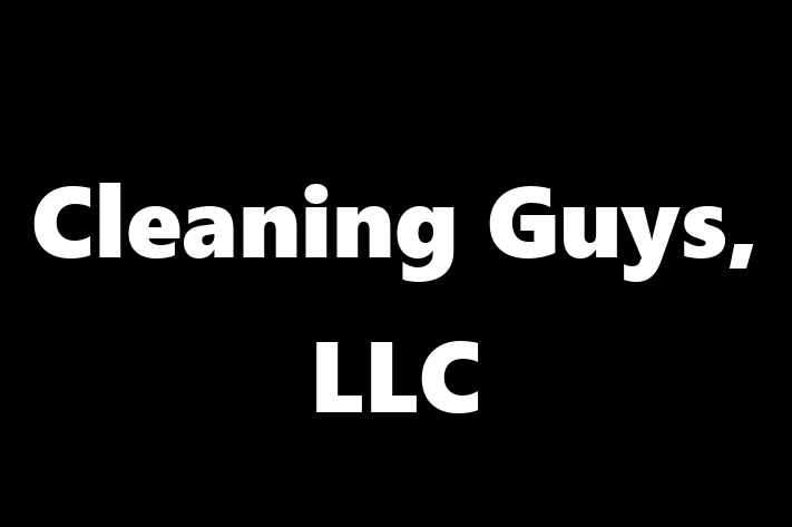 Technology Solutions Firm Cleaning Guys LLC