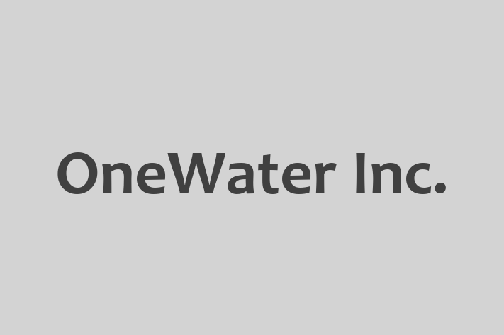 IT Company OneWater Inc.