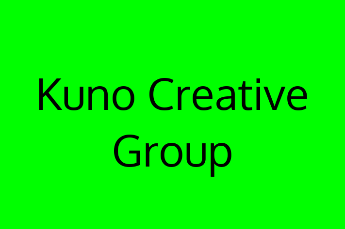 Software Consultancy Kuno Creative Group