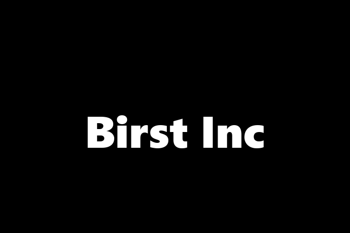 Software Services Company Birst Inc