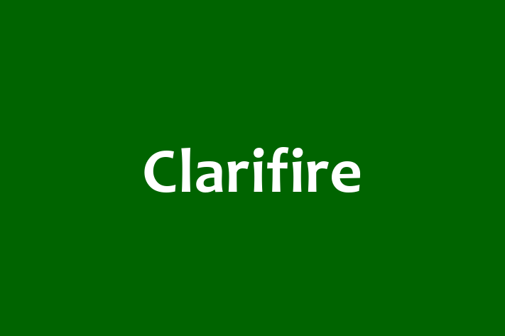 Software Consultancy Clarifire