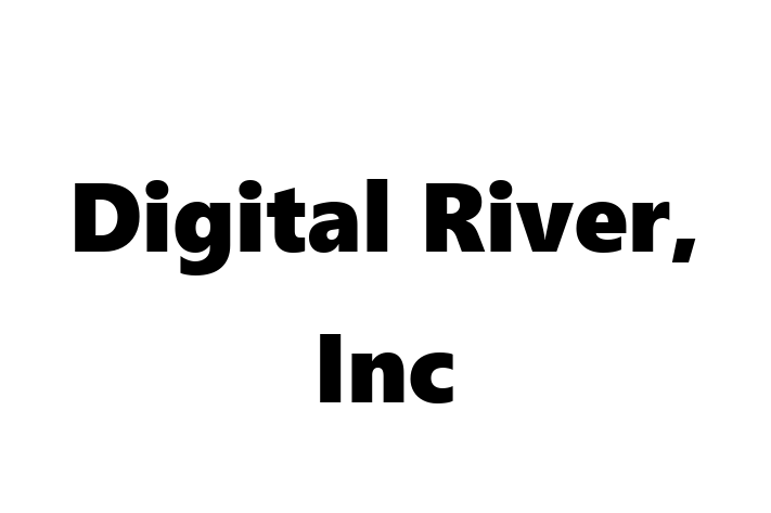 Software Engineering Company Digital River Inc