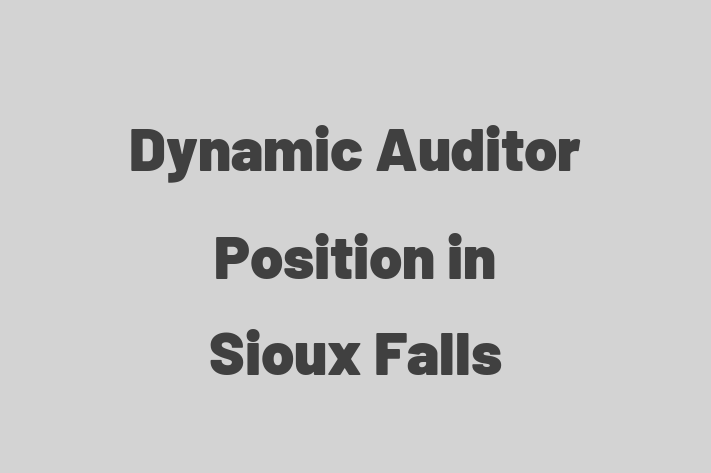 Dynamic Auditor Position in Sioux Falls